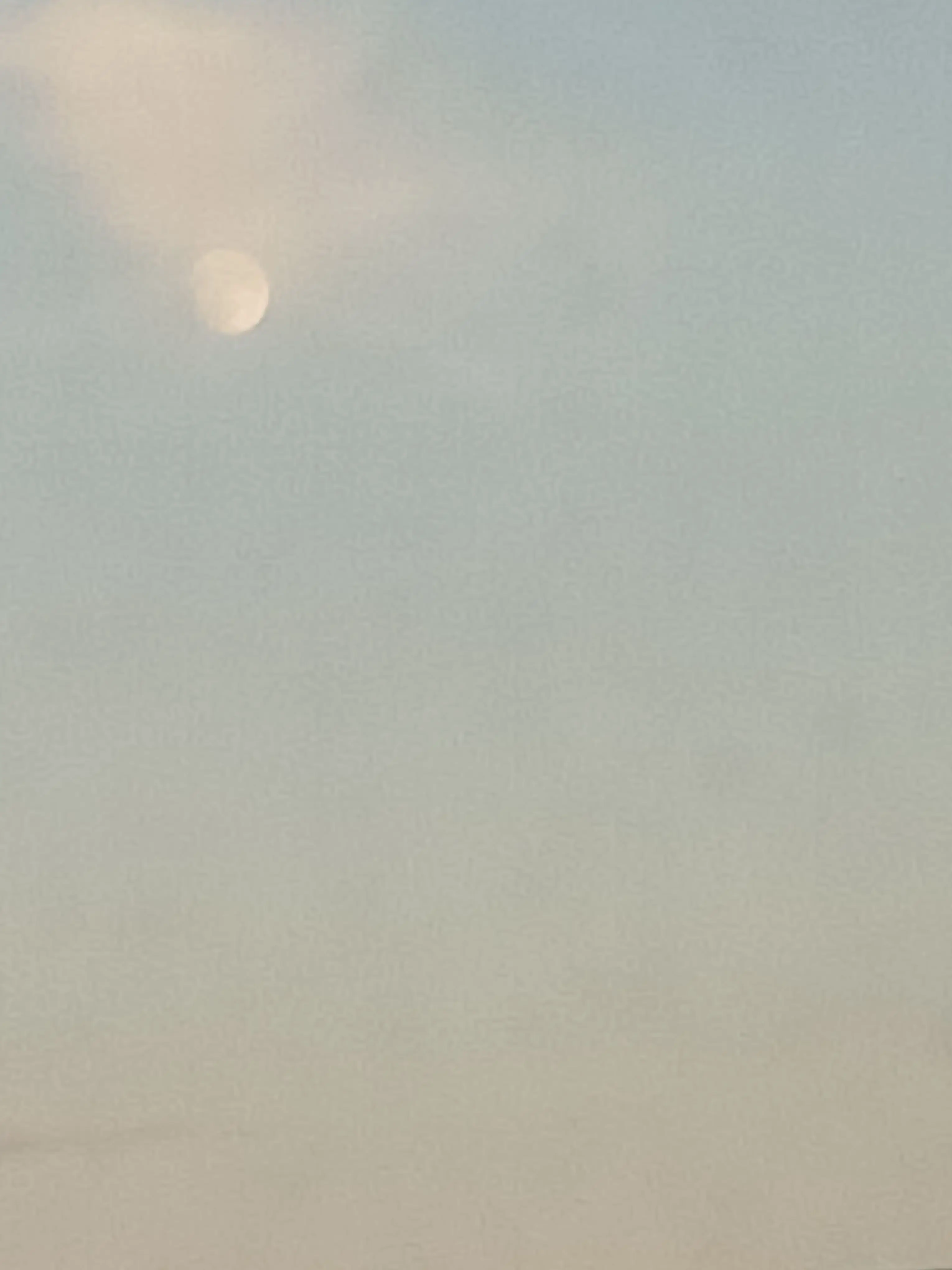 1234453726의 뉴비 중학교