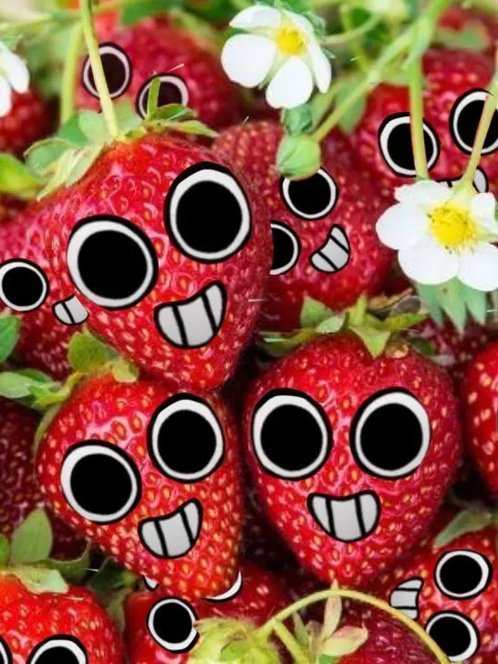 FluffyTear3400의 딸기와 동거