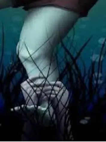 TautAinu3675의 겨울납량특집(?)팀나빠 계곡