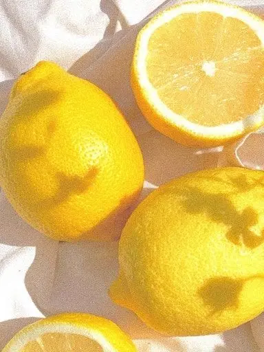 plave0708_unit의 한노아