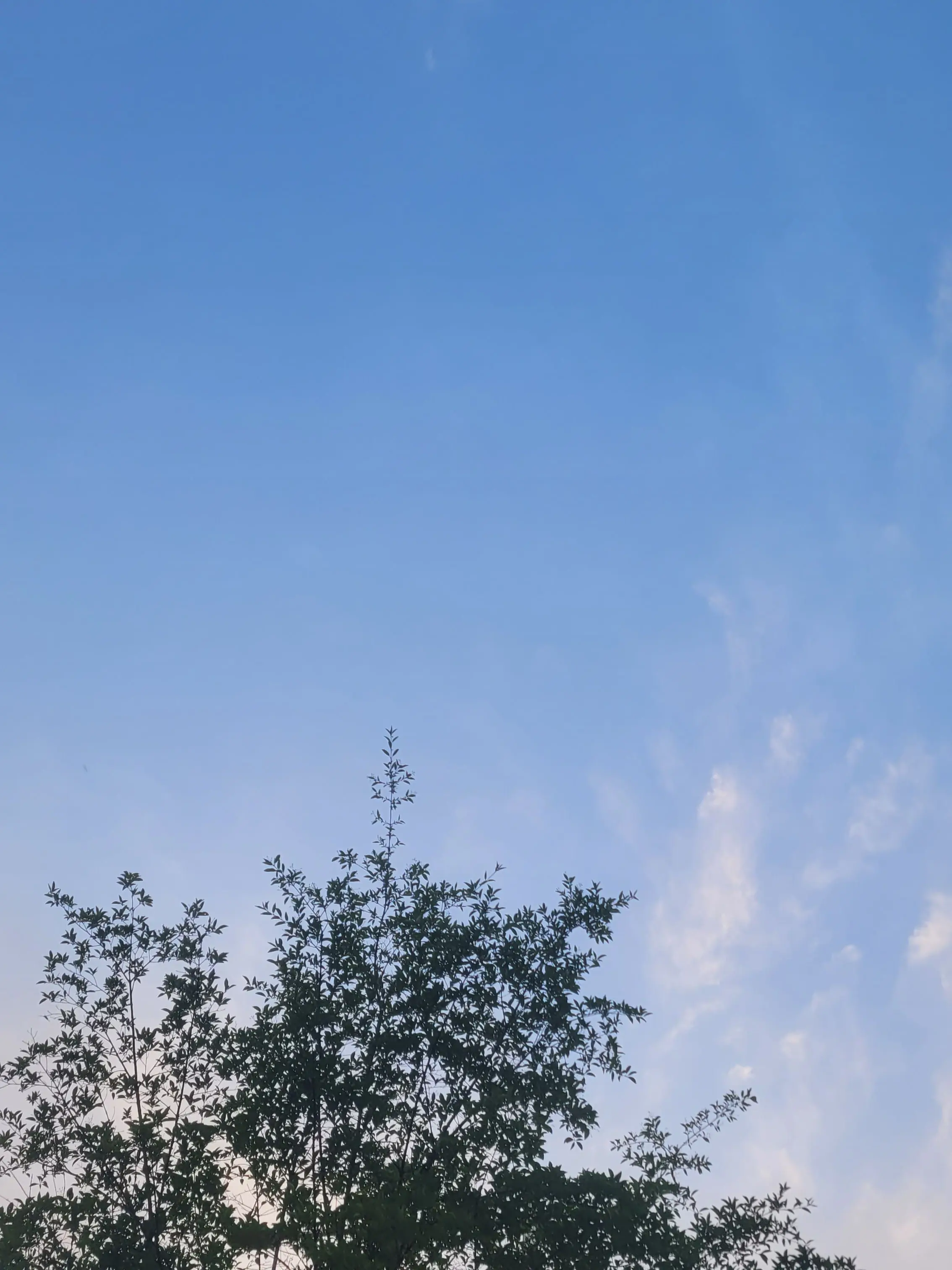 RoastBar8627의 픽셀리 학교 - 잊여진 진실