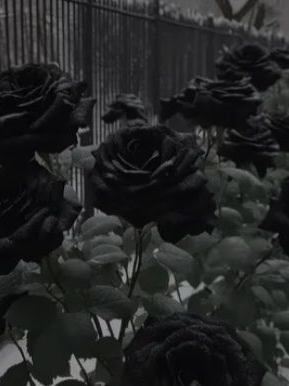 NTR + 텔러 + 여미새;; 대표 이미지