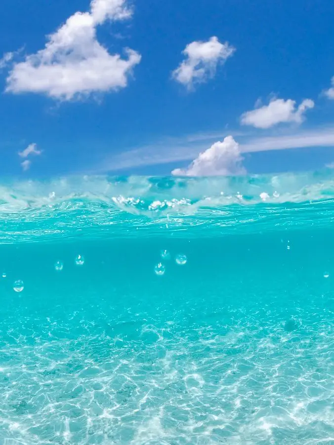 macaron_cafe0802의 目が覚めたら異世界