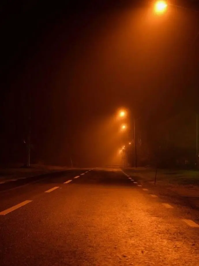 ChewyKishu의 개인용