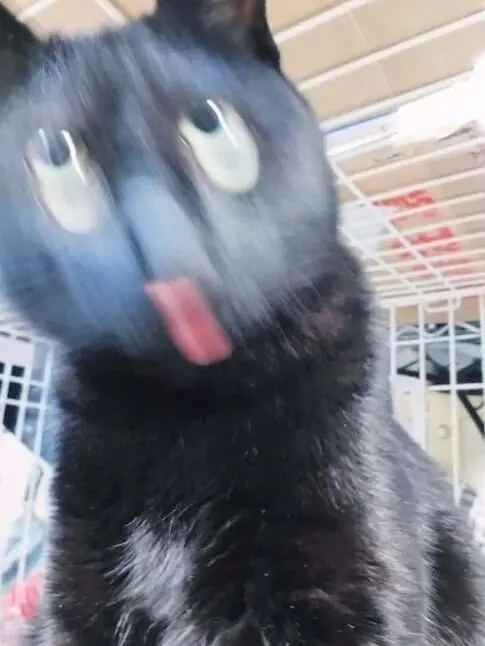 rntlzy_116의 ろふまお塾