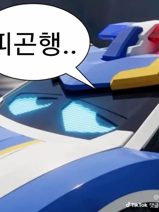 와일드카드봇 중학교 대표 이미지