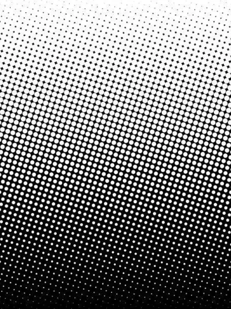 Jiujitae의 토가 히미코