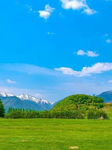 CloudyCoin2477의 もう一つの人生