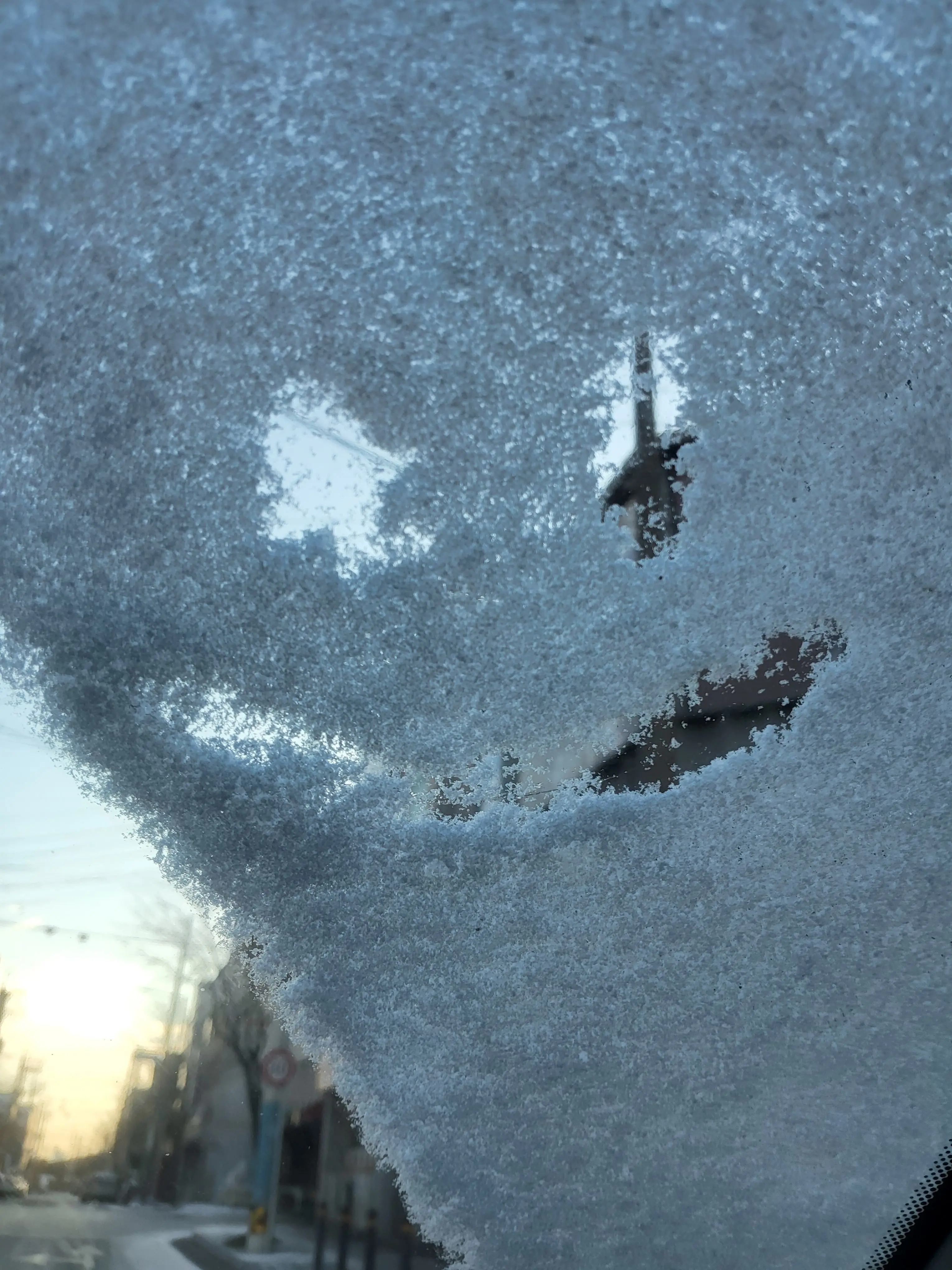 BiasedSack7799의 박서함