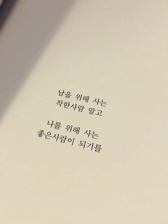 나비자매의 막내가 되어보자! 대표 이미지