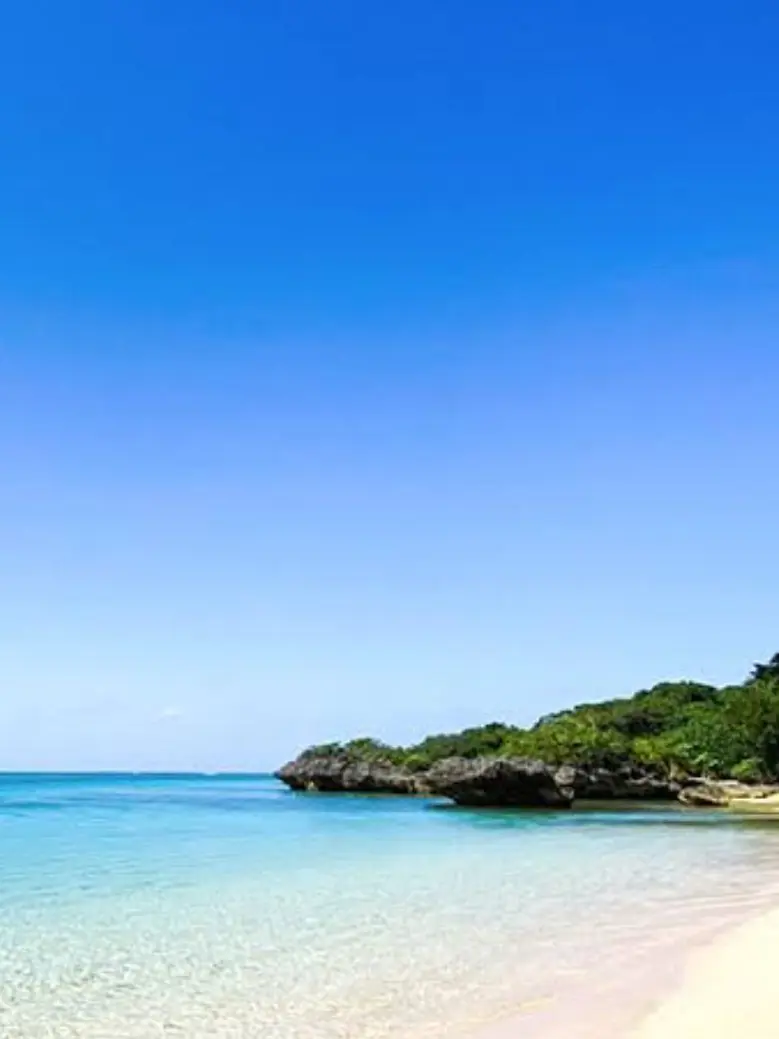 PaleEel2314의 今日、好きになりました