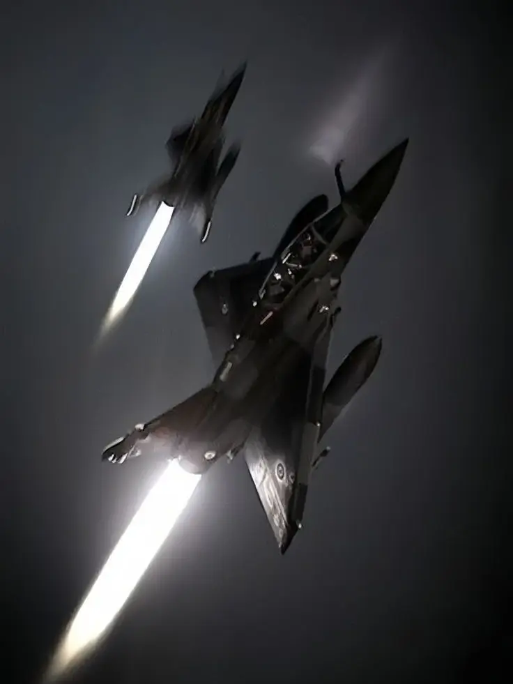 friedjEllyfish1의 V