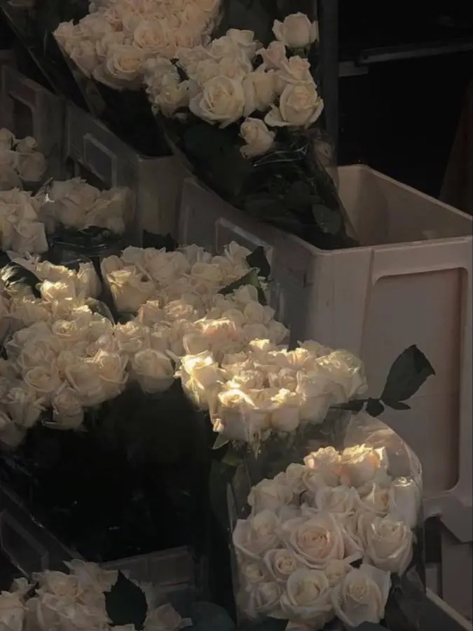 paradise_0000의 패러다이스