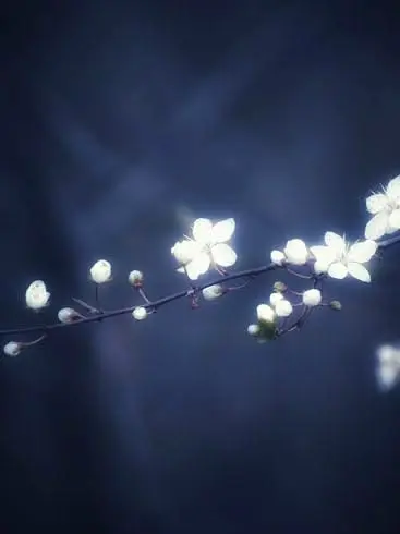 Incendiary의 花樣年華