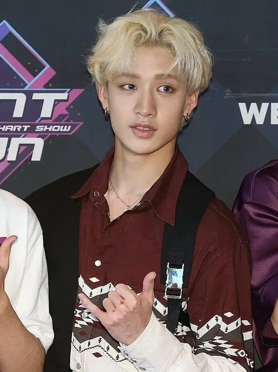 StumpyWoman6645의 Bangchan