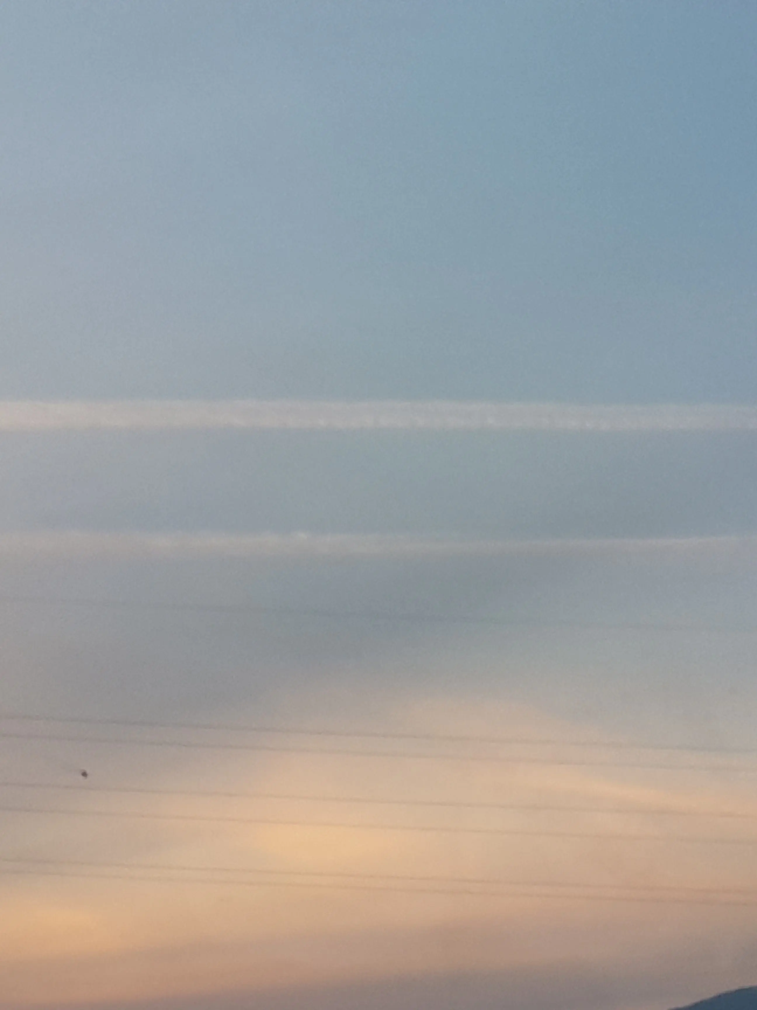 Love_070707의 동거생활