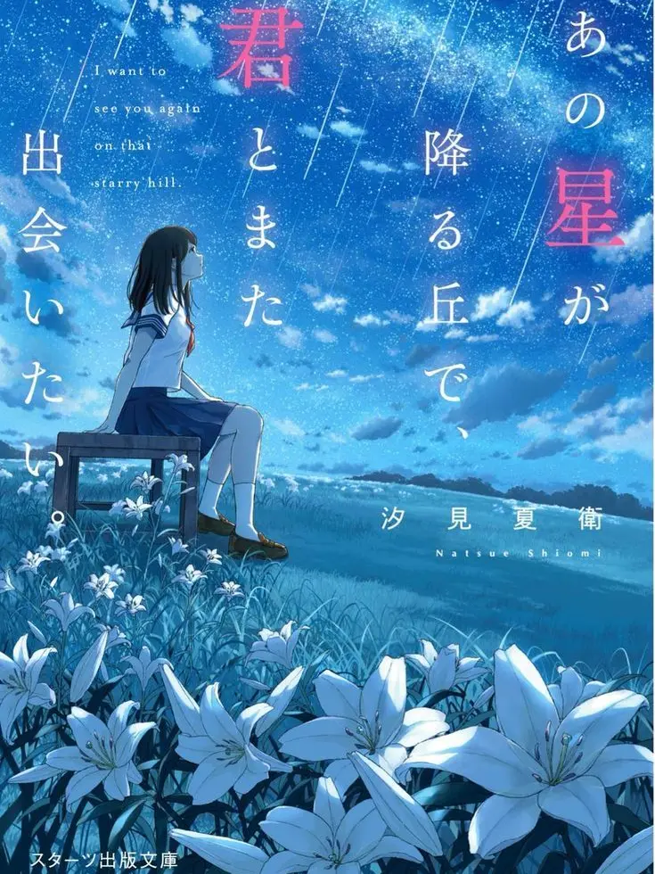 LightFrame7660의 あの星が降る丘で、君とまた出会いたい。