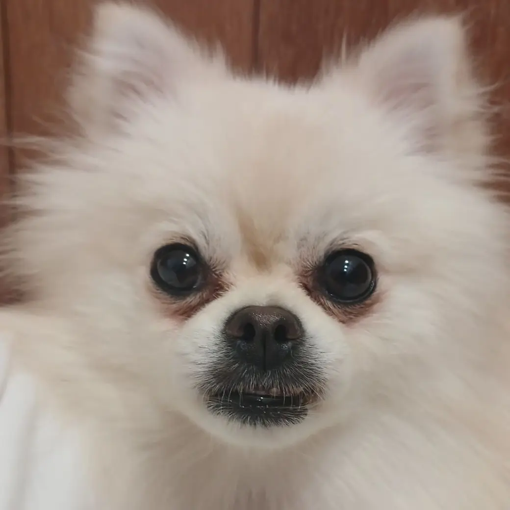 cm0331의 김채움 키워버리기