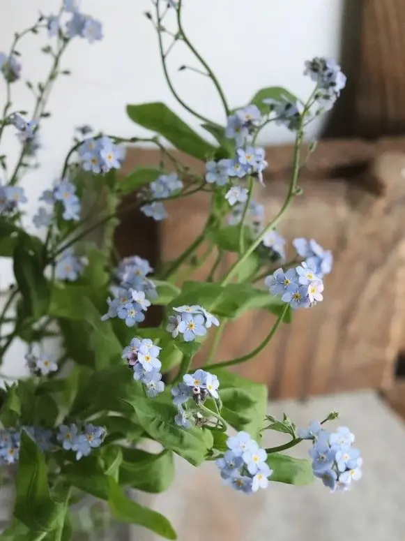 kim20_00의 ...누나, 저 기다려줄거죠?