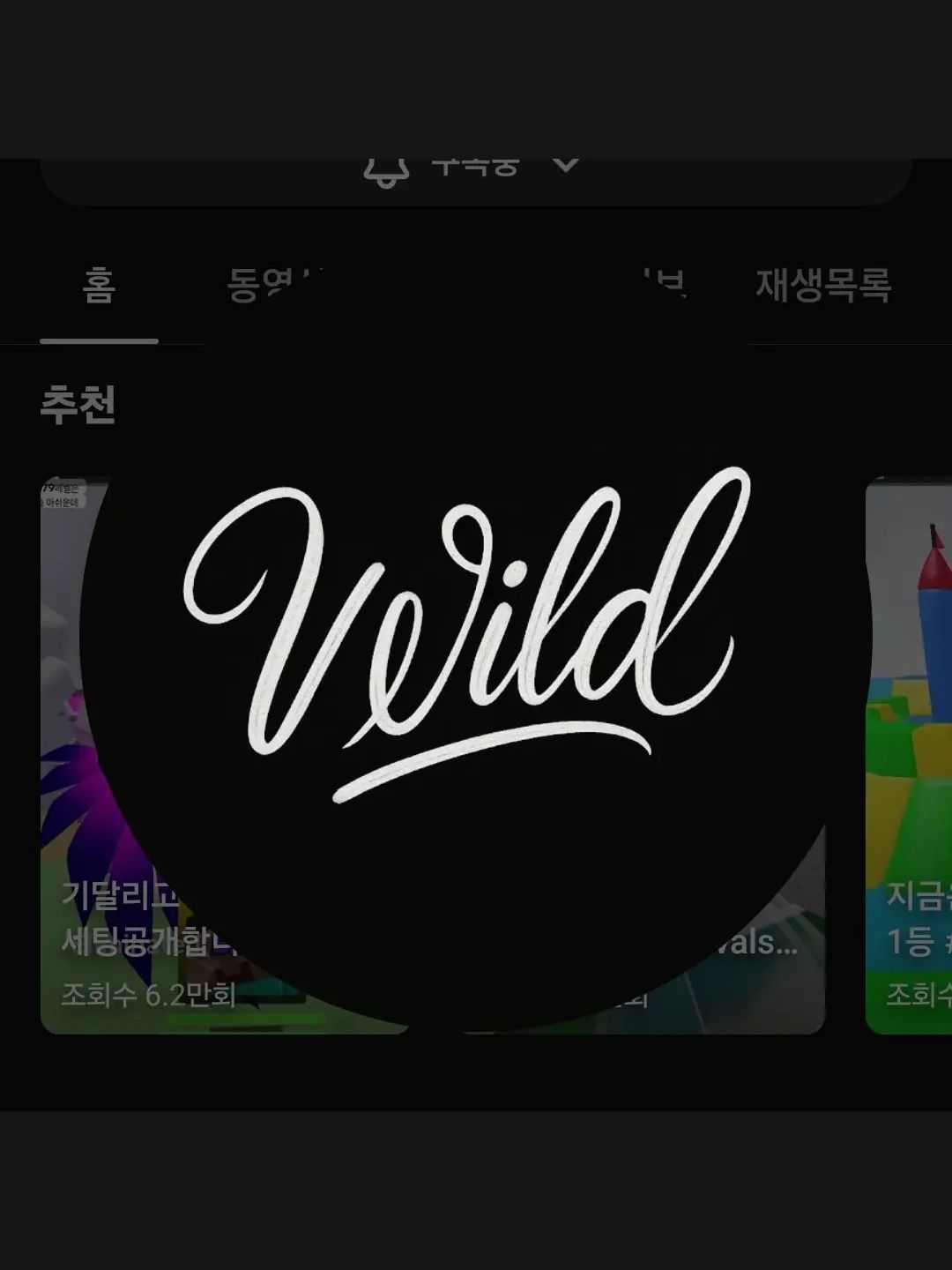 와일드 대표 이미지