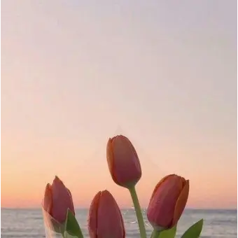 FabricCork5133의 미수반공룡편