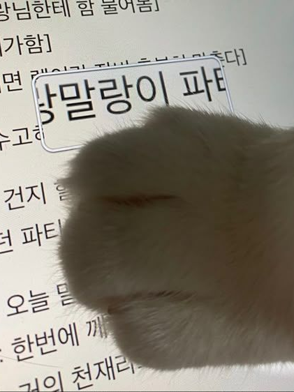 최시혁 대표 이미지