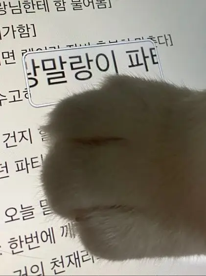 StarkRoot2409의 최시혁