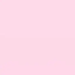 chuchu1.의 최립우