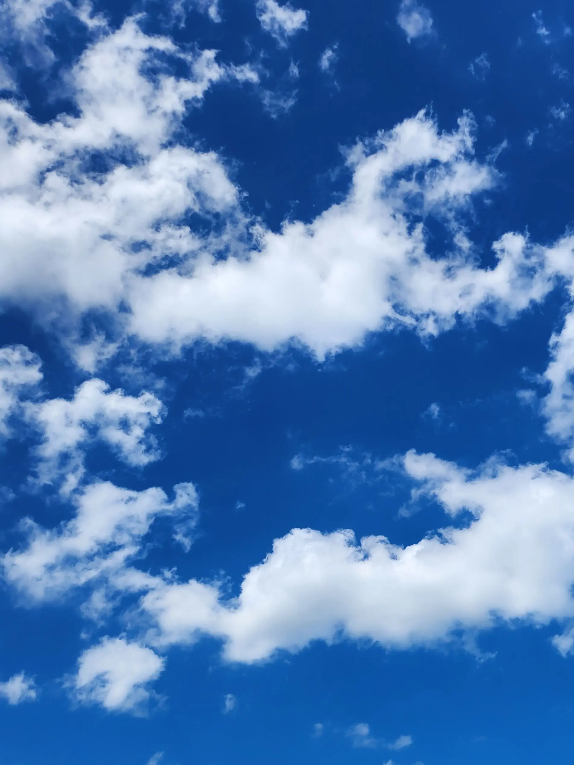 RawLeg9528의 내가 픽셀리 막내?!