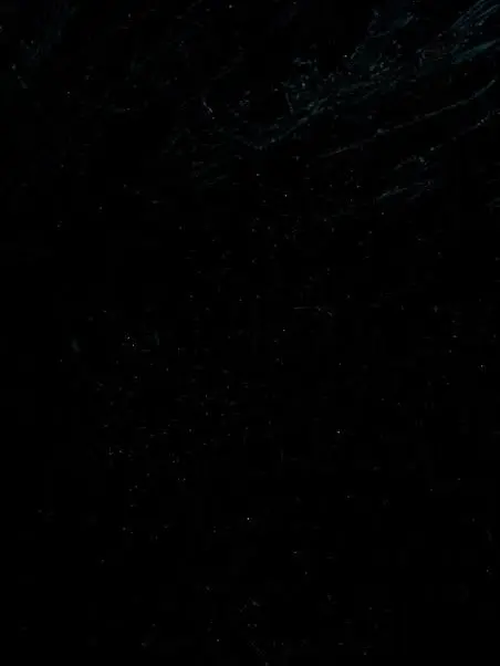 miroo의 도다빈_생일파티