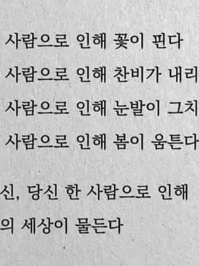 stayr의 弱肉強食