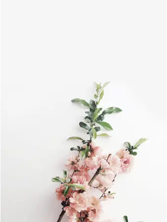 22222222you의 "우리는 어쩌다가?"