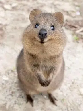 skzhanstay의 한지성