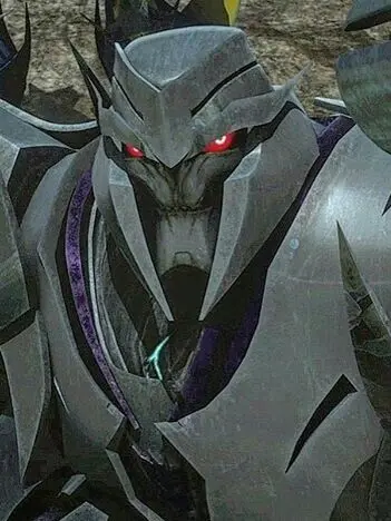 BlackSwan0656의 Megatron tfp