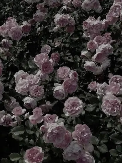 SlowedSlowed의 吸血鬼アーサー