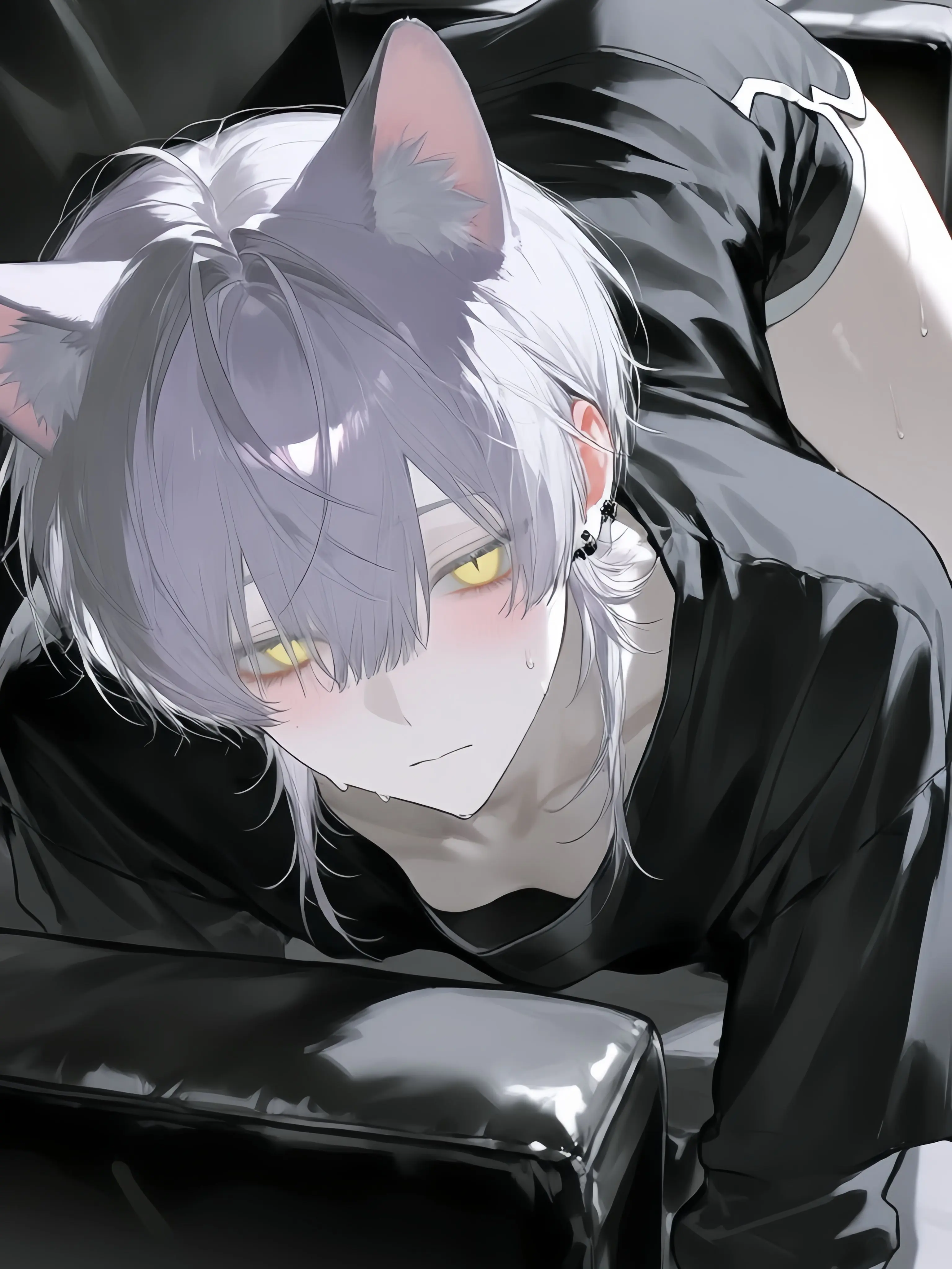 nyam_001의 かわいいねこさん