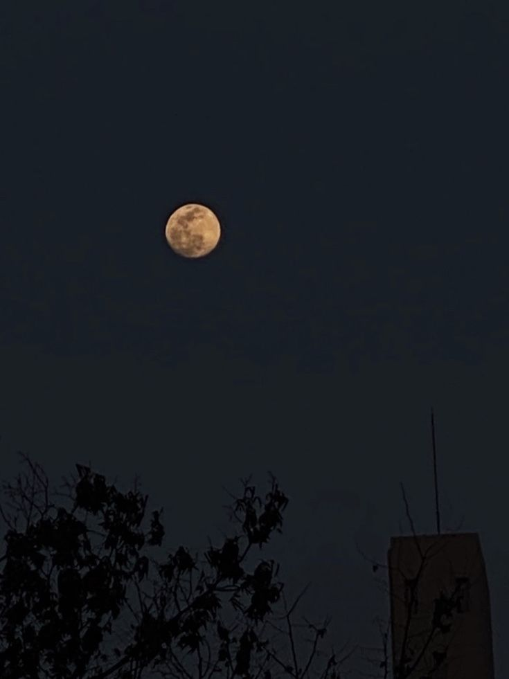하, 뻔뻔한 주제에.. 대표 이미지
