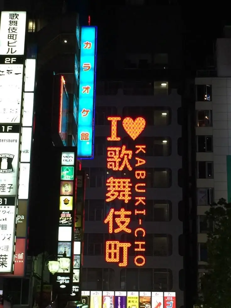 japsa의 류자키 렌