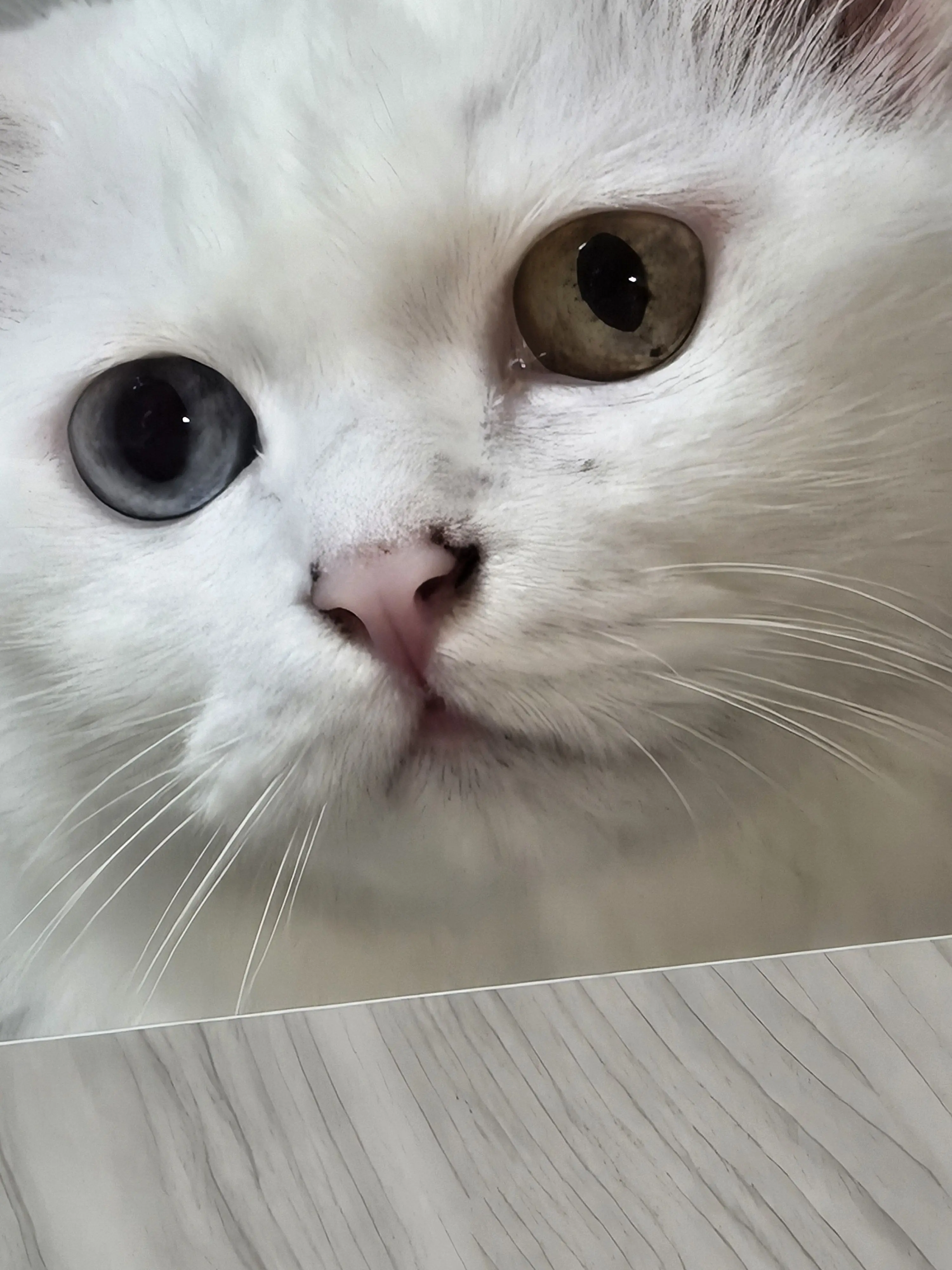 cutienami의 ㅎ