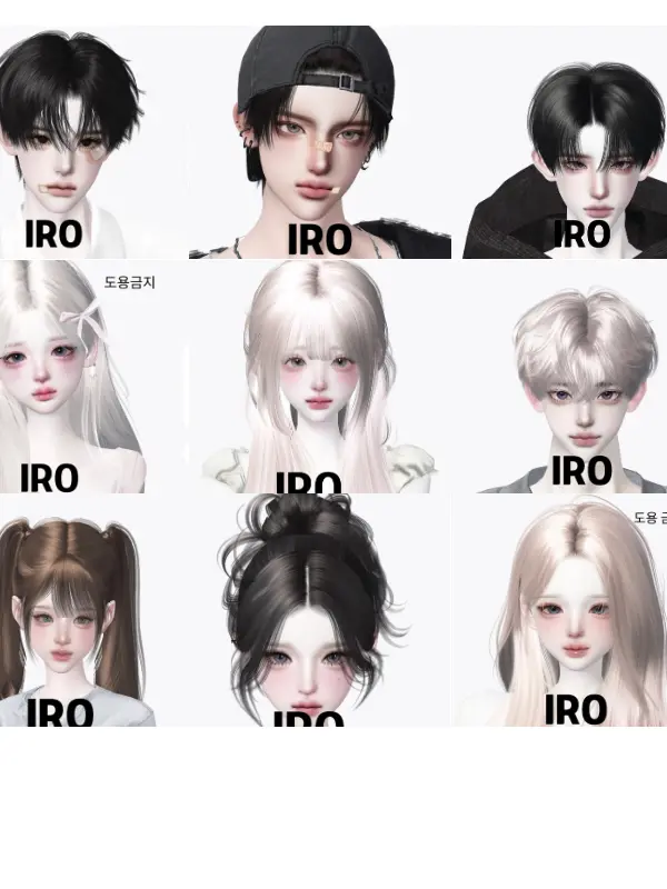 I-R-O의 IRO대학교 체육학과