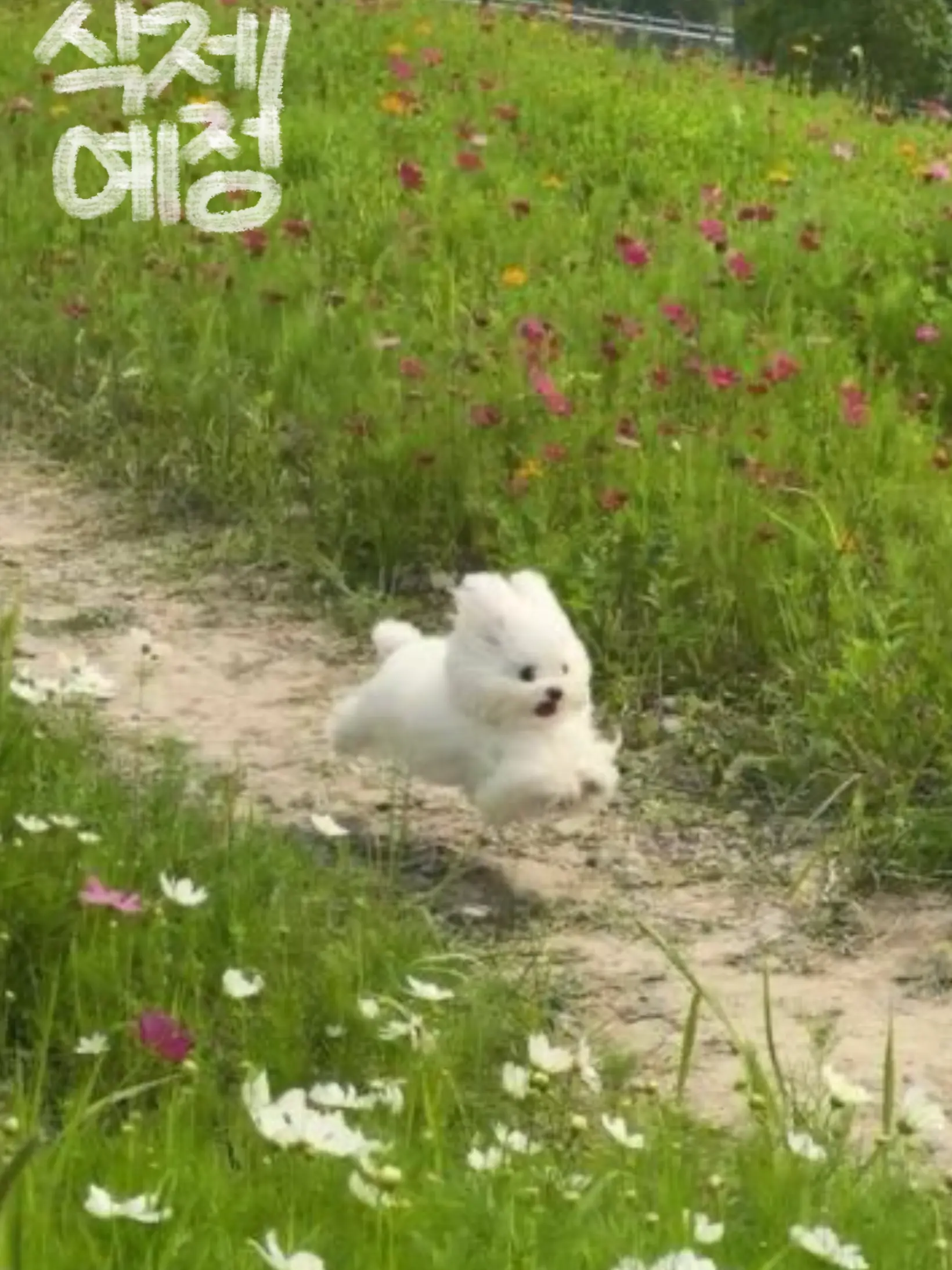 Riiiiiiide의 운 터