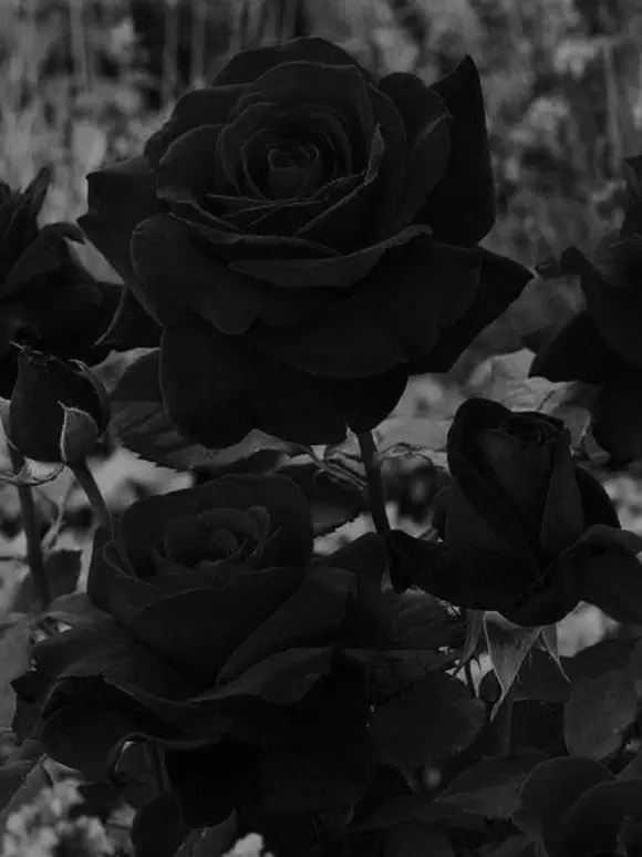 lwantgohome_love_house의 장코치