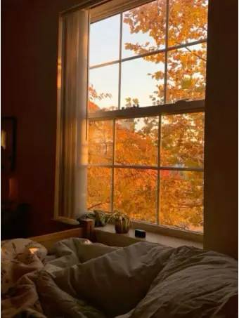 E2.ex의 제타고 유명무리