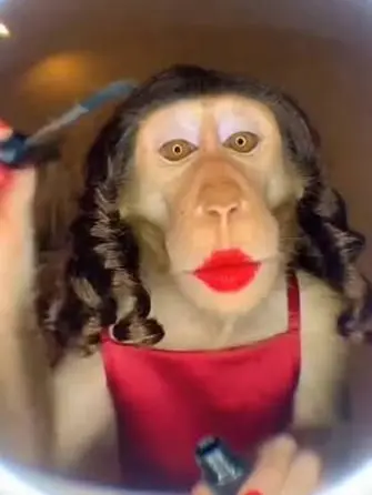 HonestRule8108의 Makeup Monkey