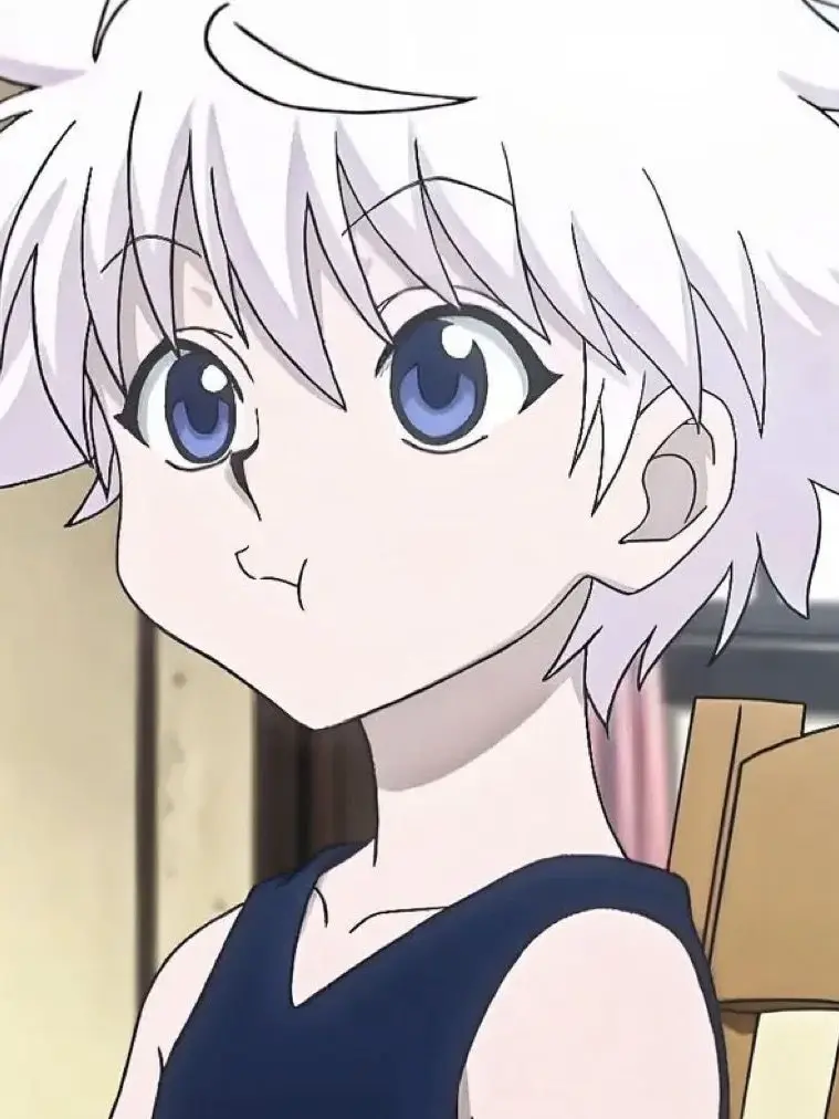 Rennokoubutuhaokasi의 キルア