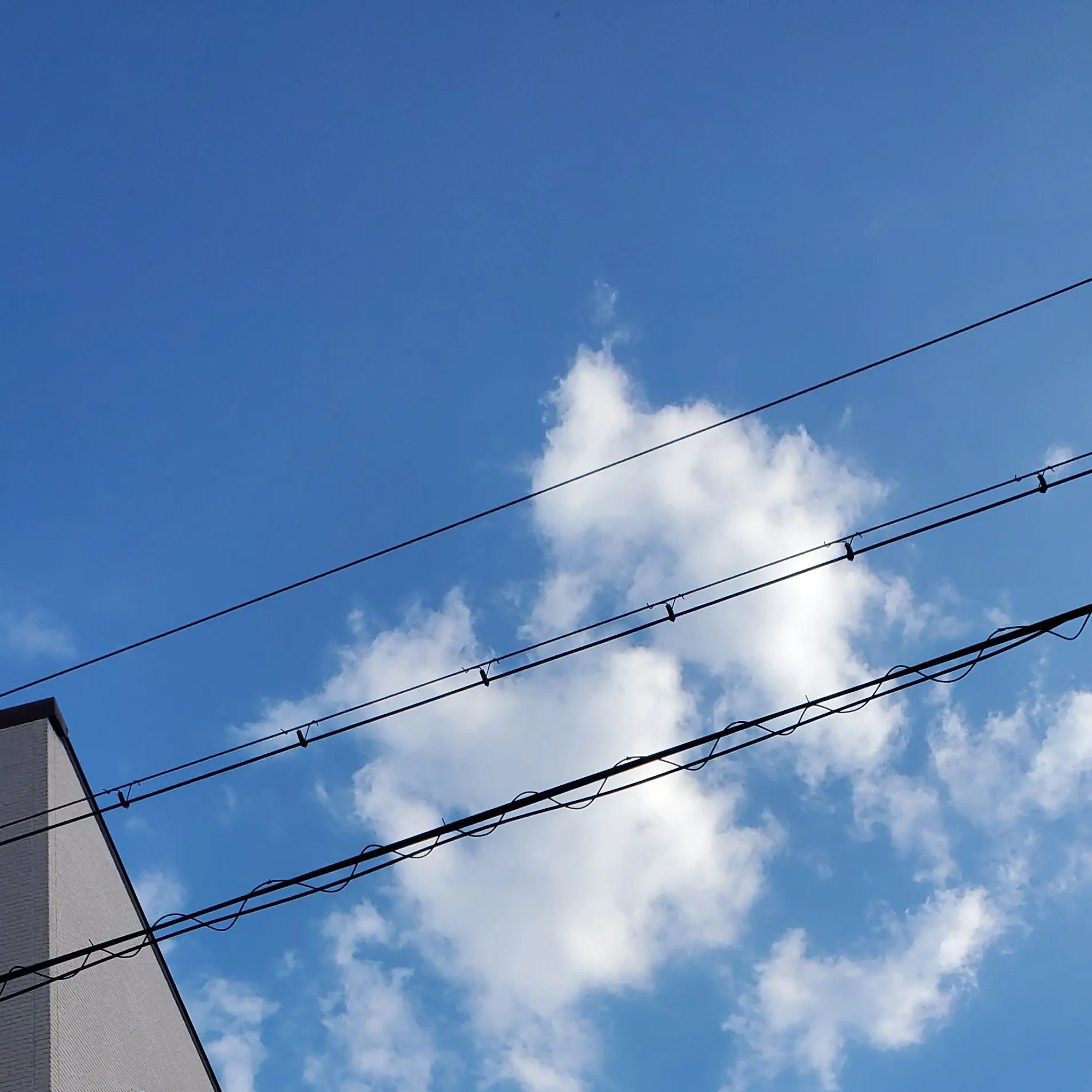 20031220의 君とできるなんて……