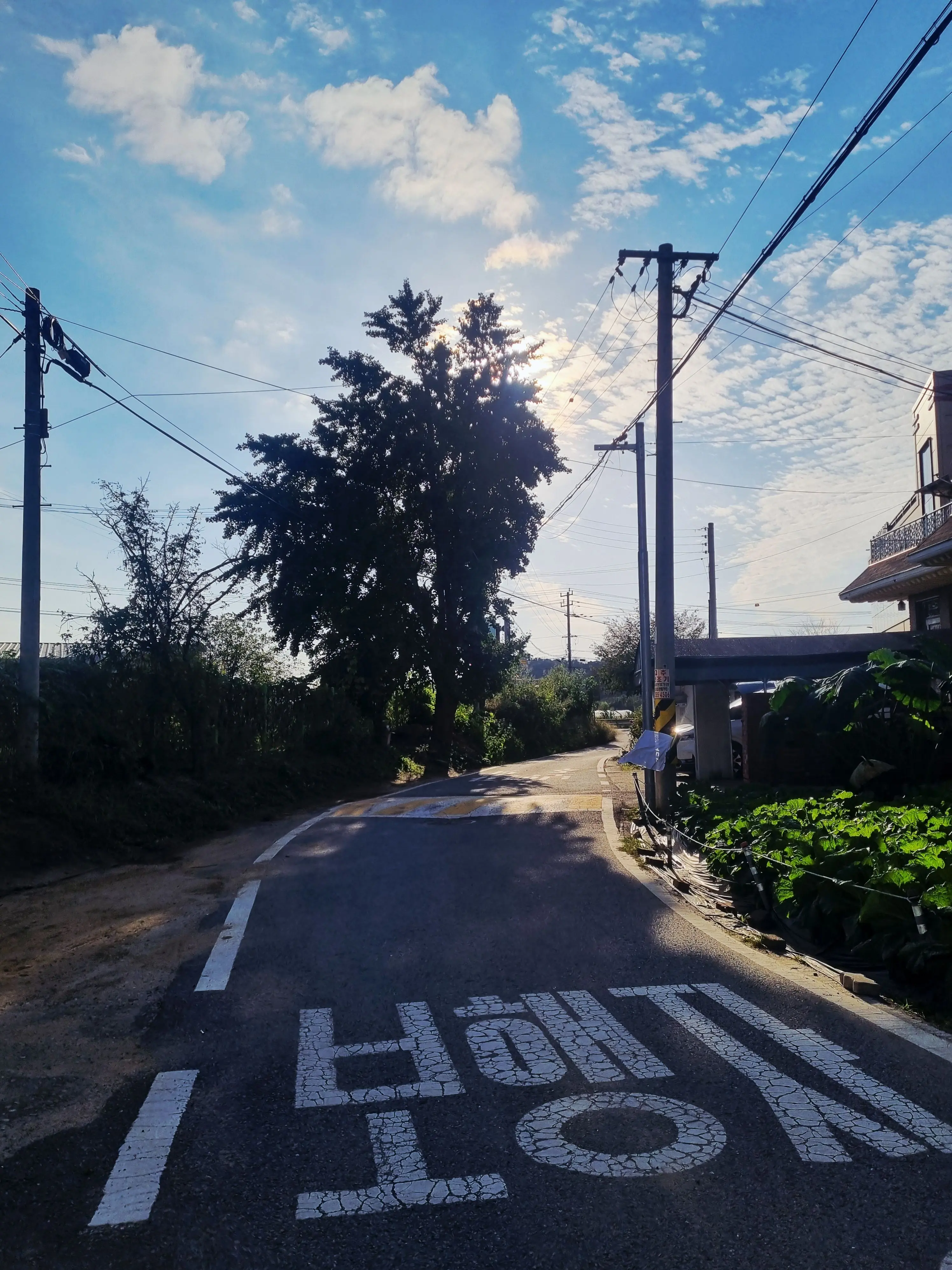 neoli_201412의 조선 픽셀리마을