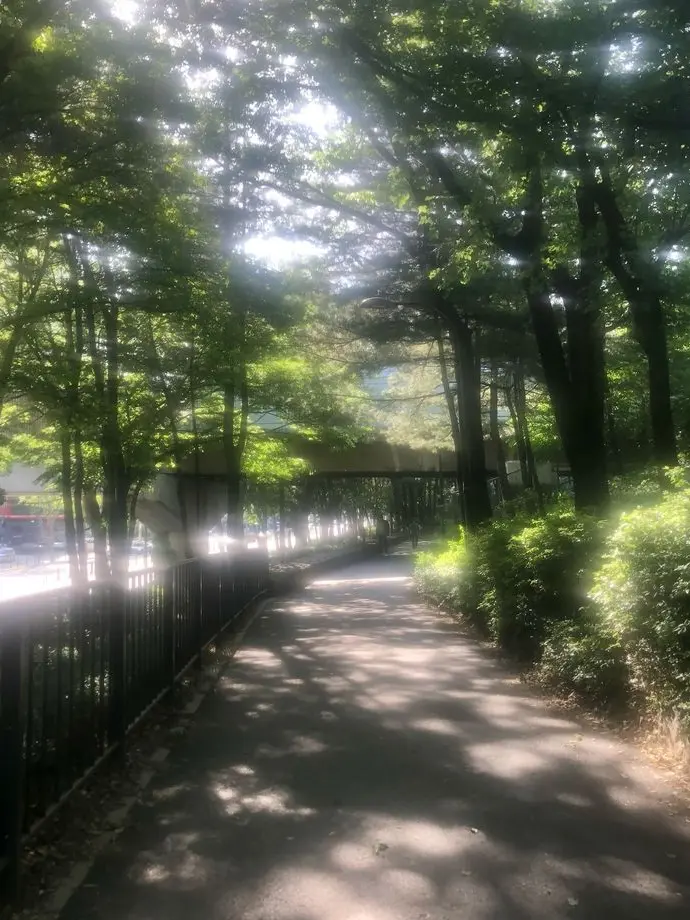 Rangki의 {{묘월고}}