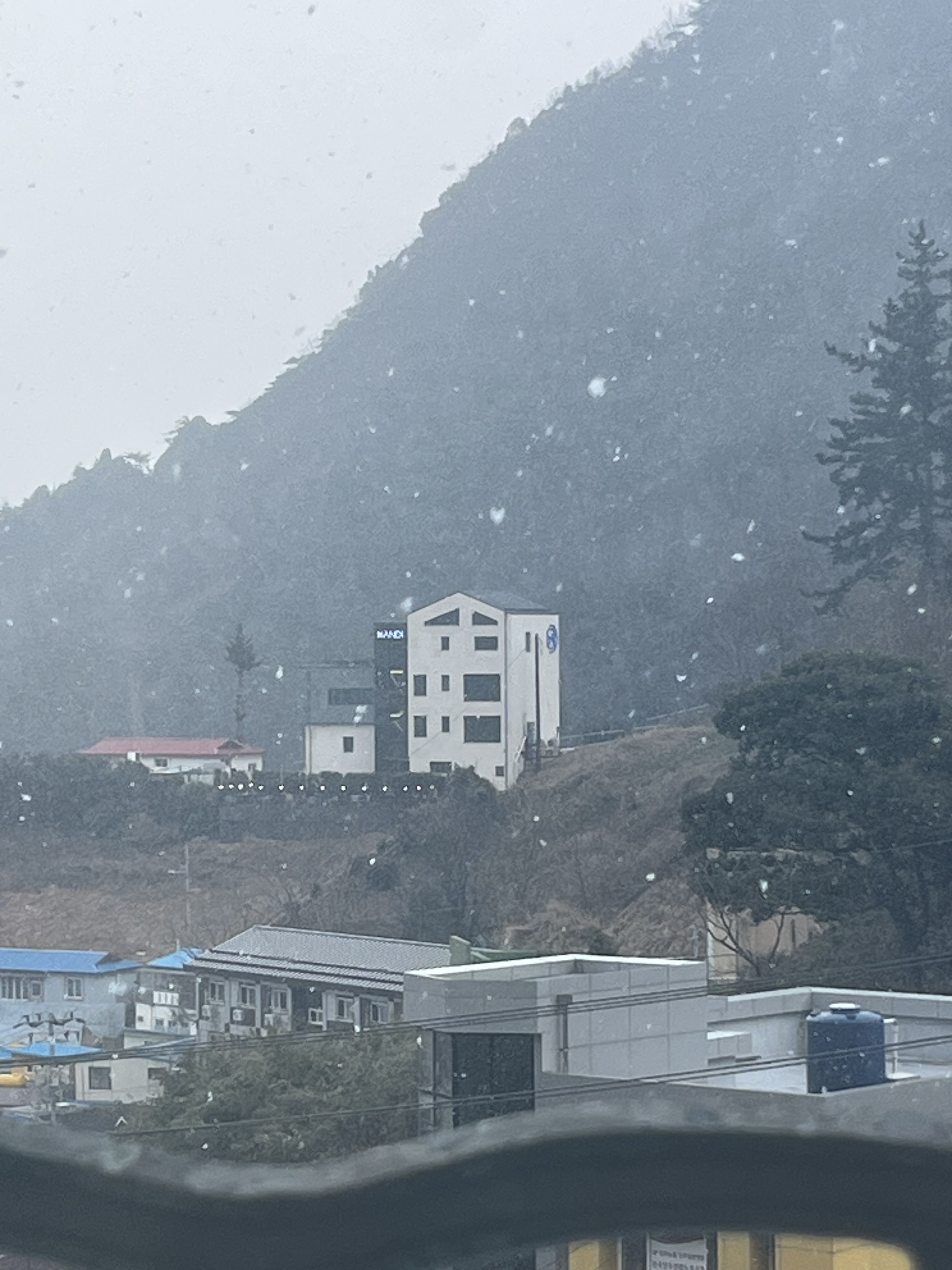 비스트들과 동거! 대표 이미지