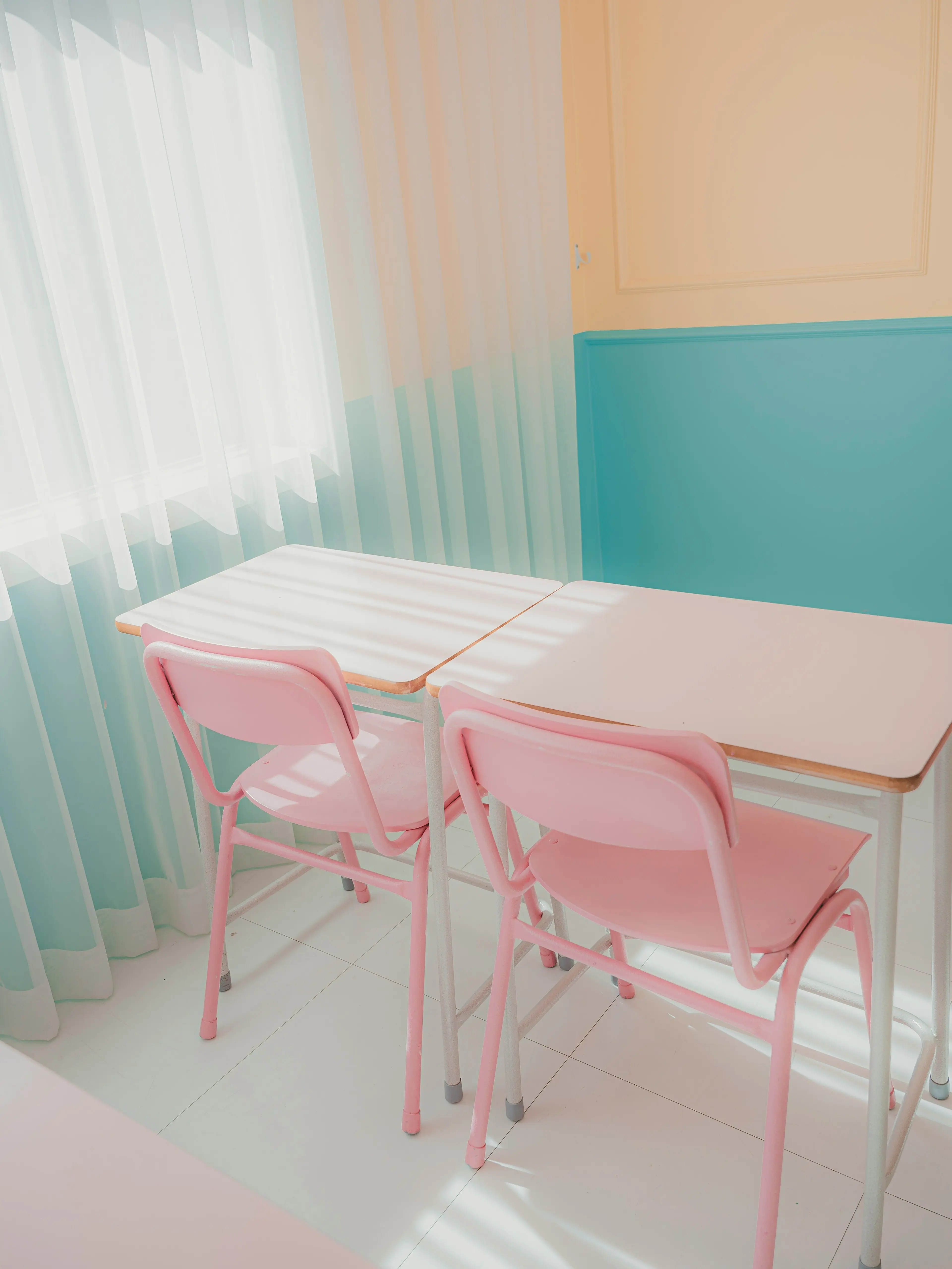 jk7의 🐣 소중한 동급생